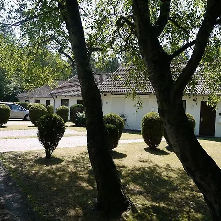 Сasa de vacaciones Haus-luett-witthues-whg-01 *